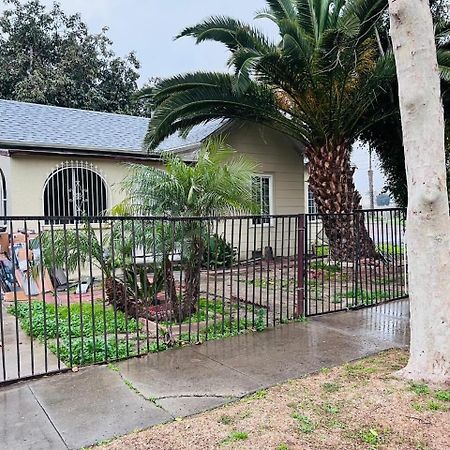 הוסטל House Downtown Oc סנטה אנה מראה חיצוני תמונה